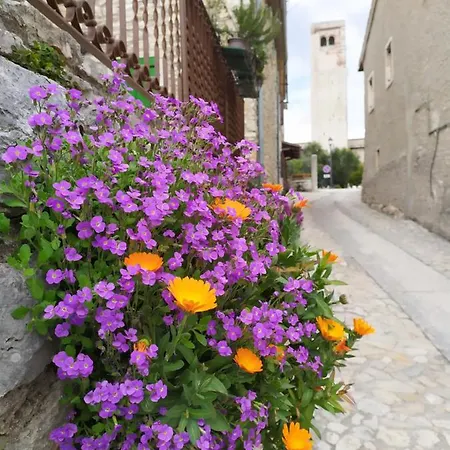 Residenza Borgo Valpolicella *